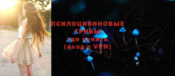 сатива Балахна