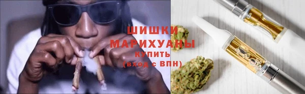 сатива Балахна