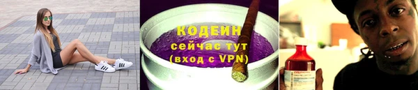 сатива Балахна