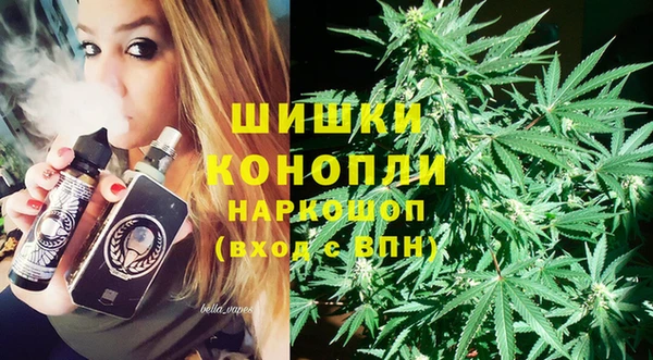сатива Балахна