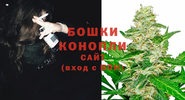 сатива Балахна