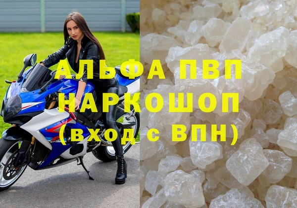 сатива Балахна
