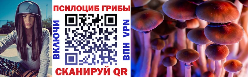 Галлюциногенные грибы Psilocybe  Белозерск 